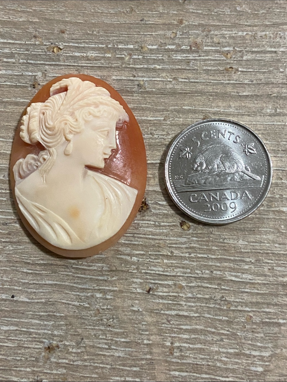 Antique Victorian Carved Loose Shell Cameo Genuine Collectible - Picture 3 of 3